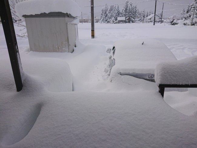 筆者の家の前。大雪です