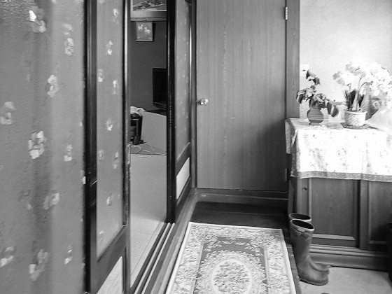 リフォーム前の裏玄関