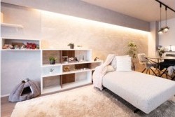 湿気が原因？マンションリノベーションでのカビ対策ガイド
