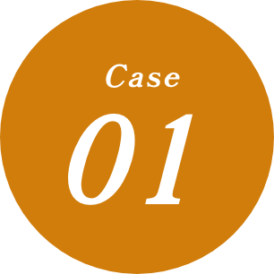 CASE01