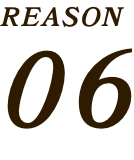 REASON06