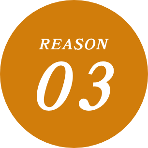 REASON01