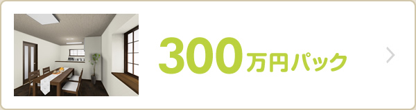 300万円パック