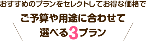 ご予算や用途に合わせて選べる3プラン