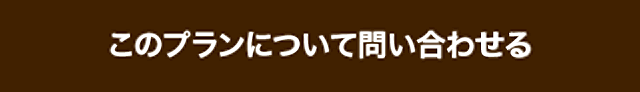 このプランについて問い合わせる